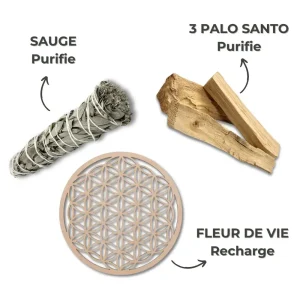 Purification & Rechargement