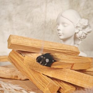 Palo Santo du Pérou – bâtons naturels de purification énergétique