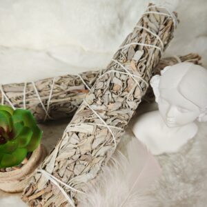 Fagot de sauge blanche extra grand 22 cm – purification énergétique et protection spirituelle